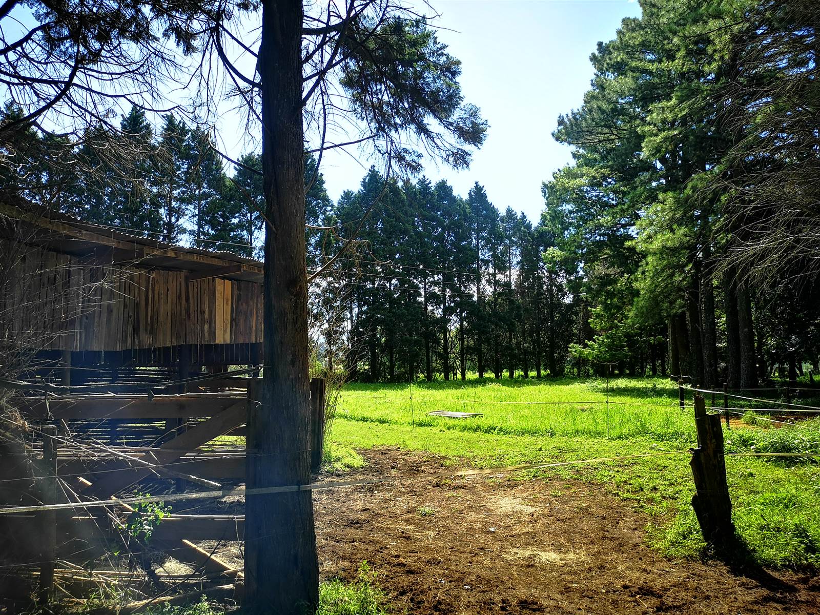 22.4 ha Smallholding in Karkloof photo number 22