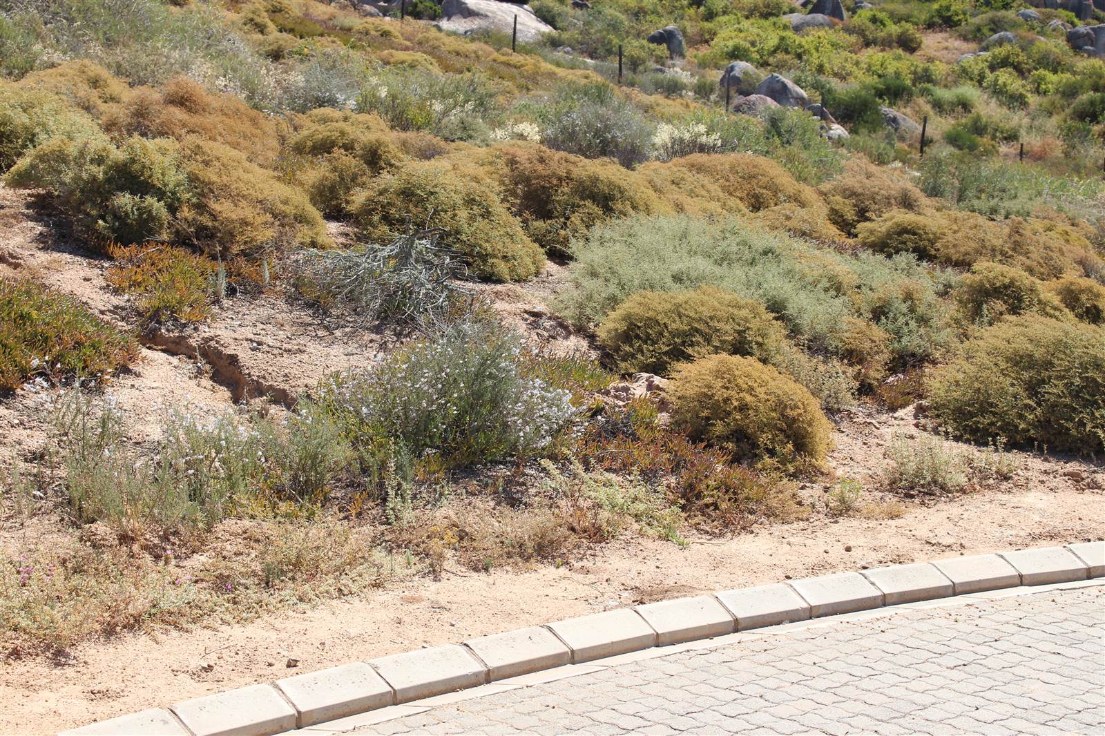 406 m² Land available in St Helena Views photo number 4