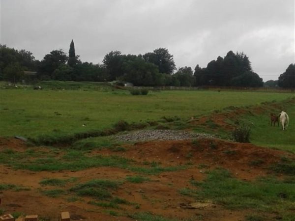 1.7 ha Smallholding 1.7 ha Smallholding