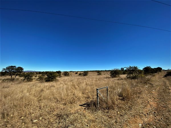 21.4 ha Land available in Lesedi Park