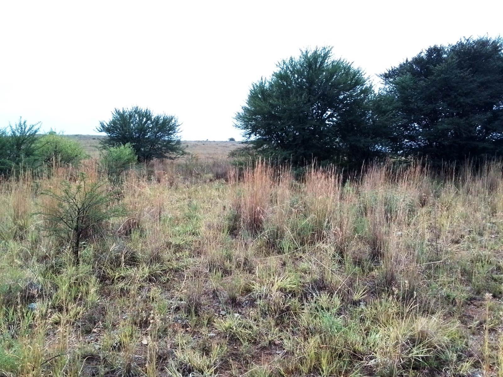 9.1 ha Land available in Deneysville photo number 13