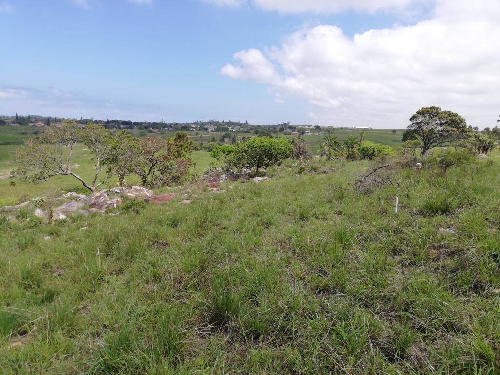 2026 m² Land available in Margate photo number 8