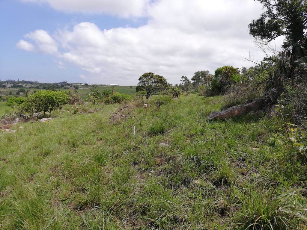 2026 m² Land available in Margate photo number 11
