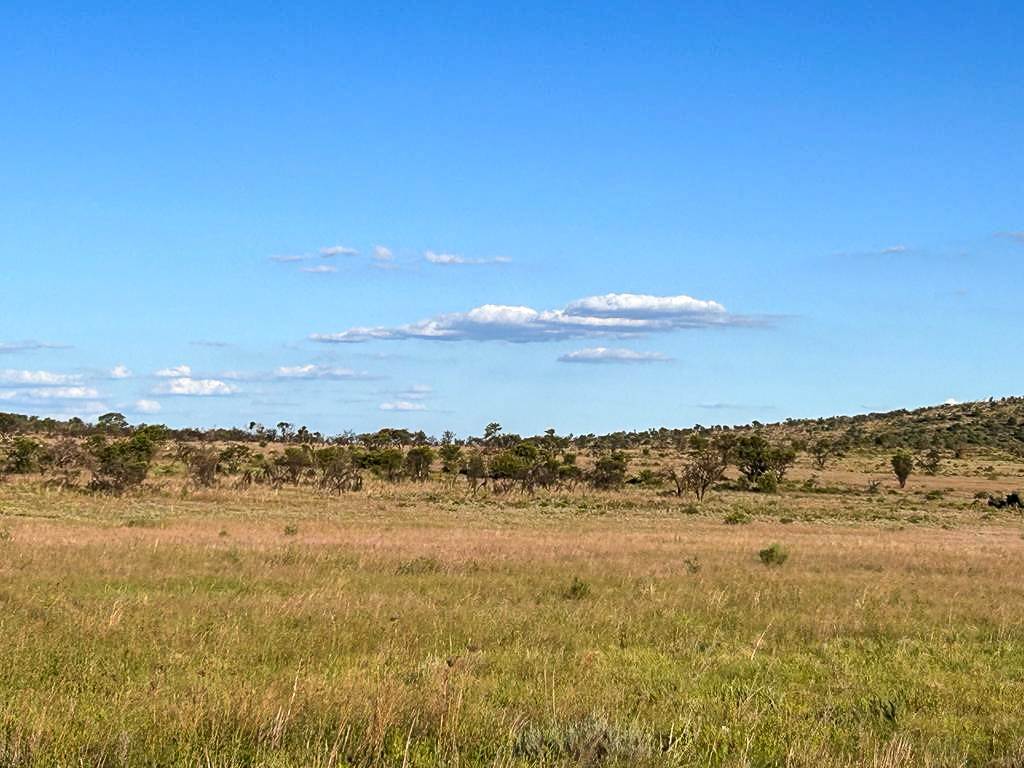 2200 m² Land available in Lekwena Wildlife Estate photo number 5