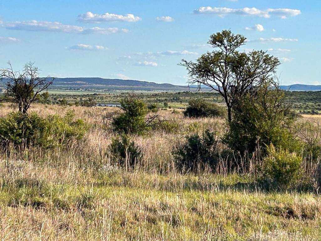 2200 m² Land available in Lekwena Wildlife Estate photo number 12