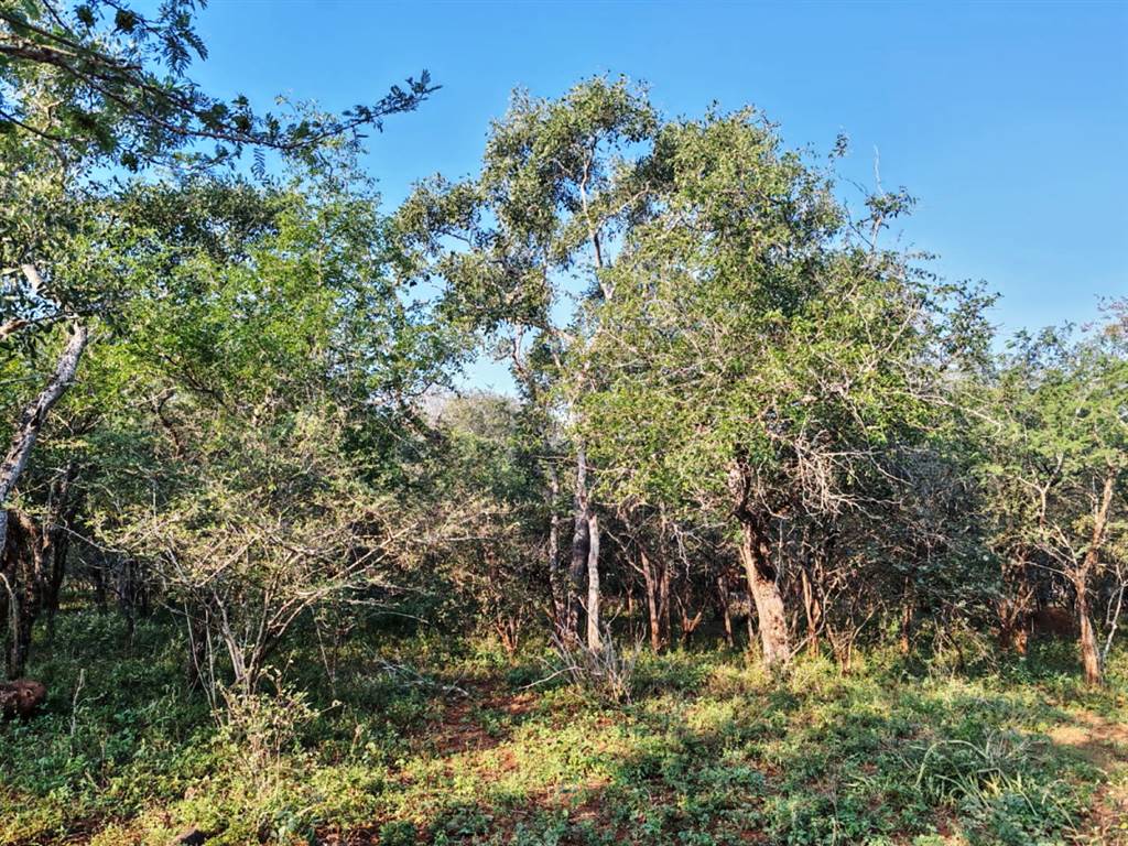 1870 m² Land available in Marloth Park photo number 4