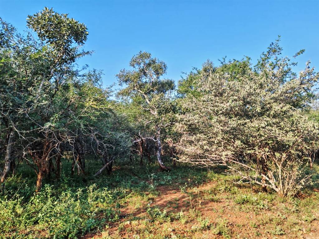 1870 m² Land available in Marloth Park photo number 8