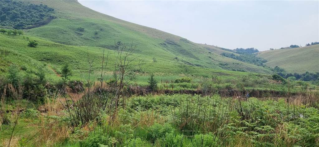 61.9 ha Land available in Bergville photo number 4