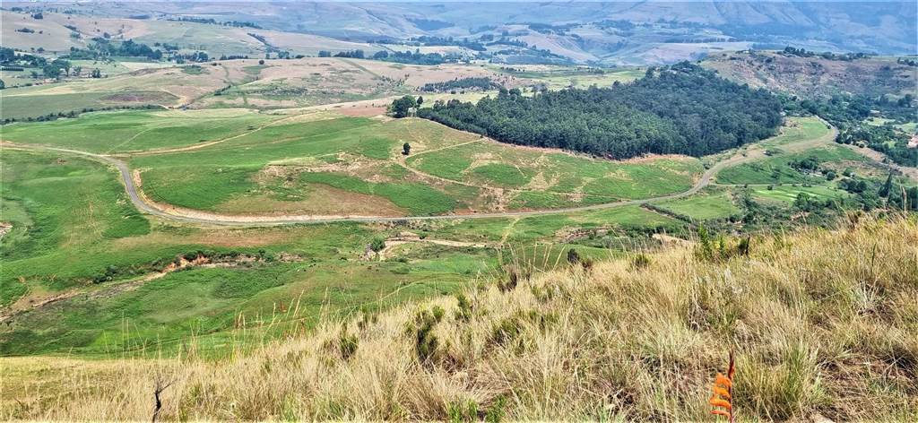 61.9 ha Land available in Bergville photo number 20