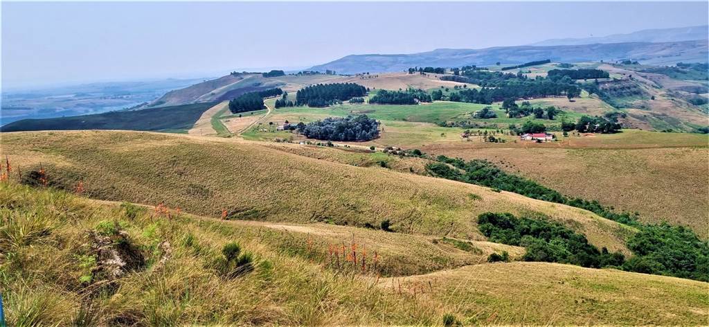 61.9 ha Land available in Bergville photo number 15