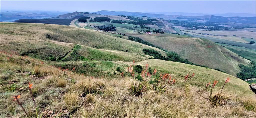 61.9 ha Land available in Bergville photo number 16