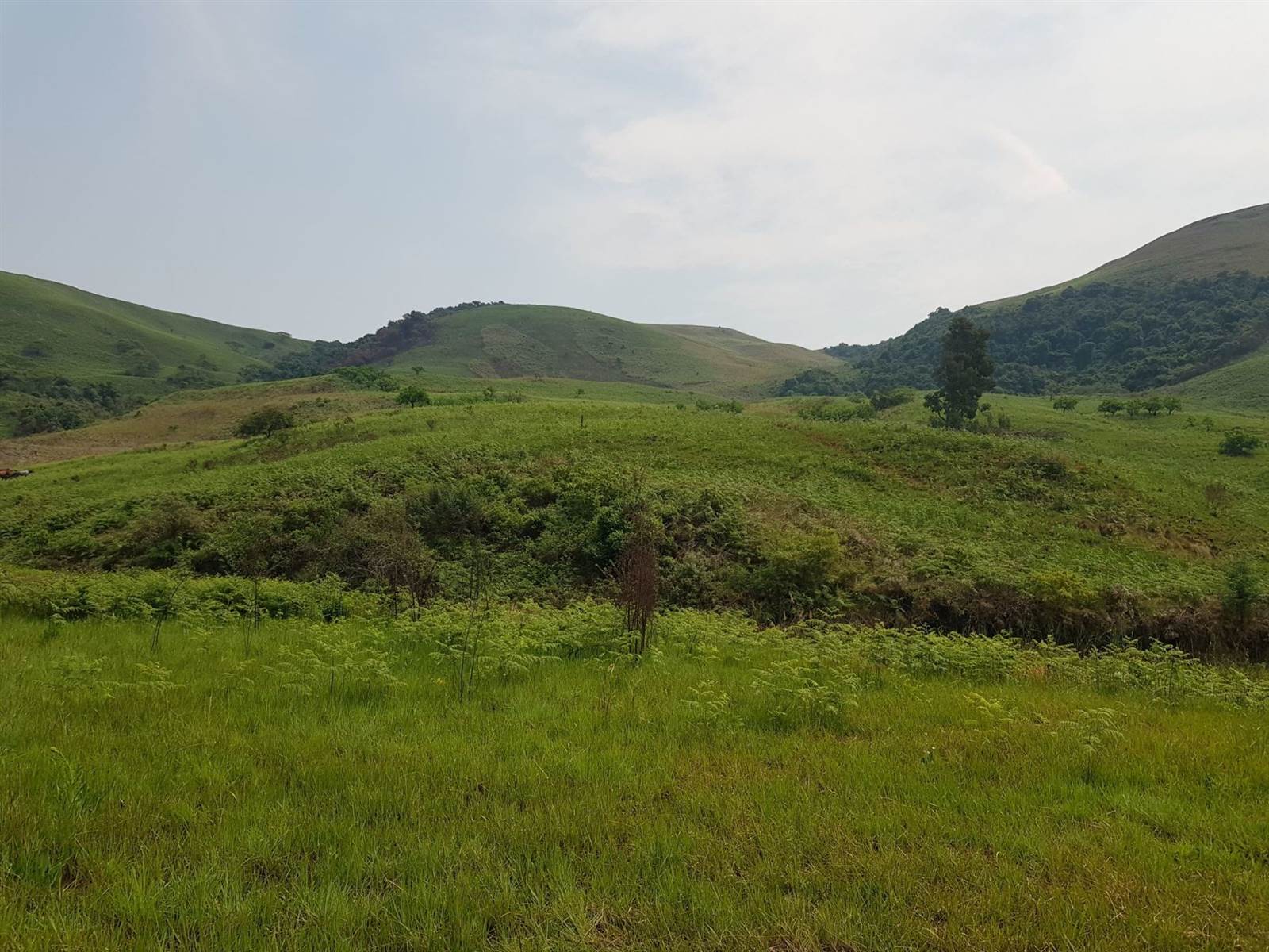 61.9 ha Land available in Bergville photo number 9