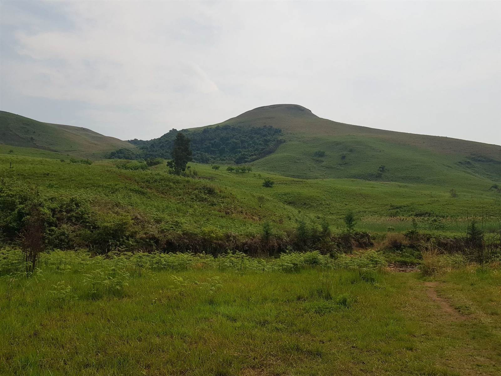 61.9 ha Land available in Bergville photo number 10