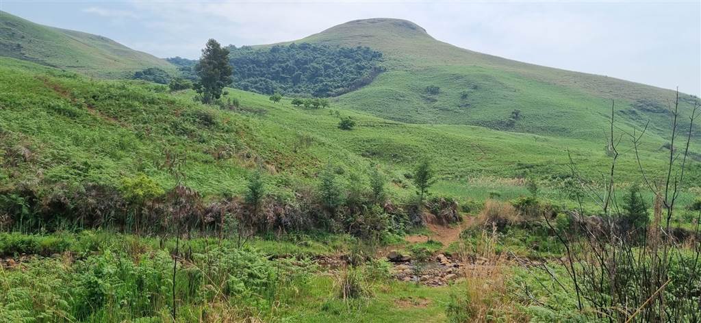 61.9 ha Land available in Bergville photo number 8