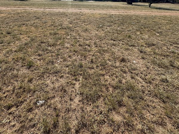 972 m² Land