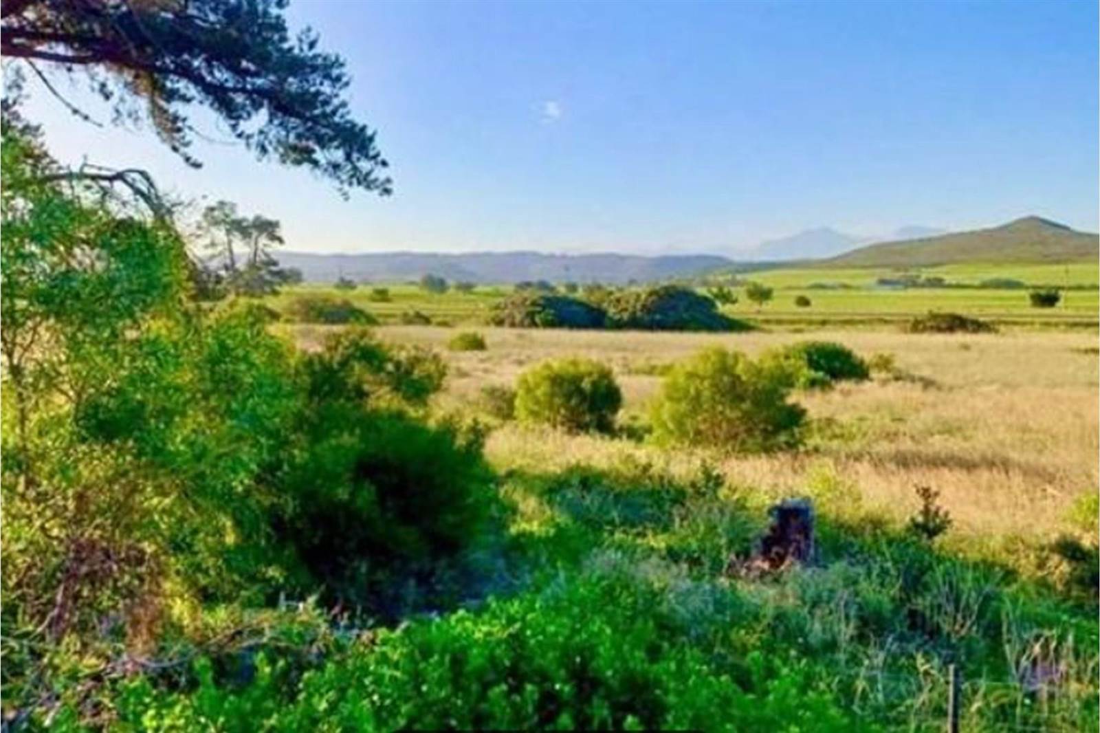 546 m² Land available in Klein Brak River photo number 11
