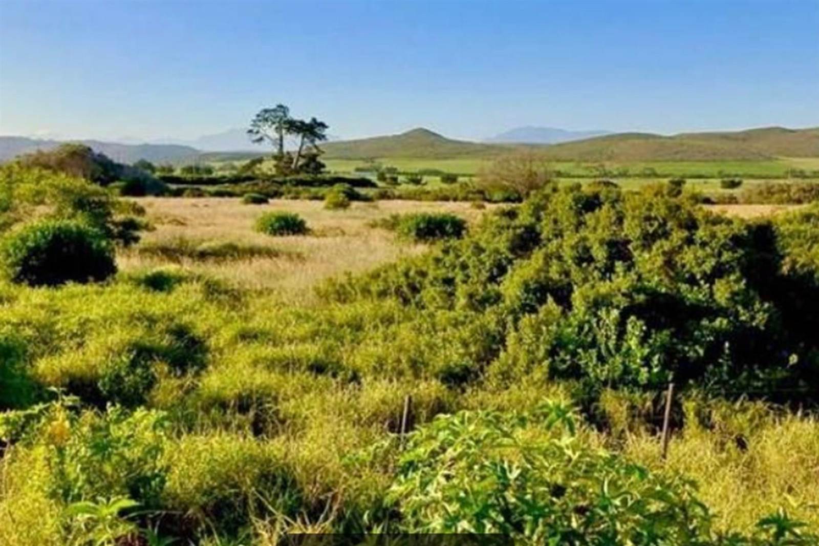 546 m² Land available in Klein Brak River photo number 3