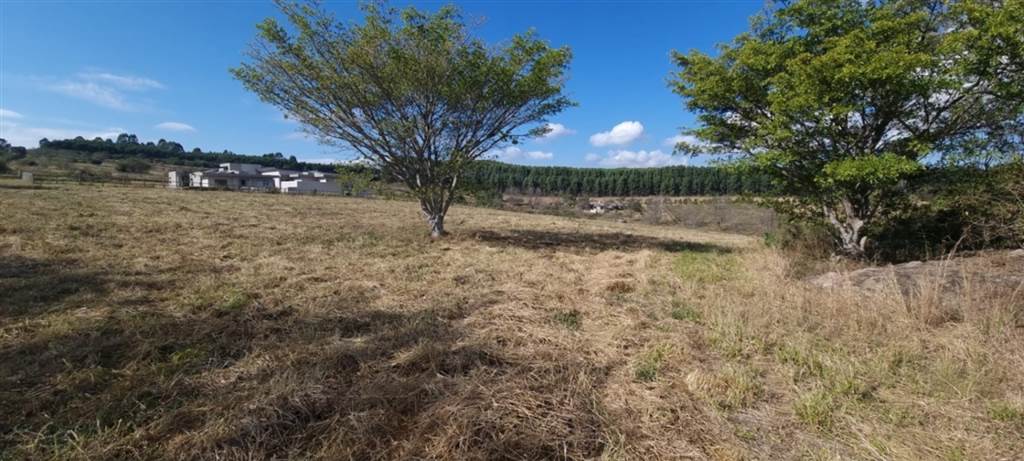 1 ha Land available in White River photo number 13