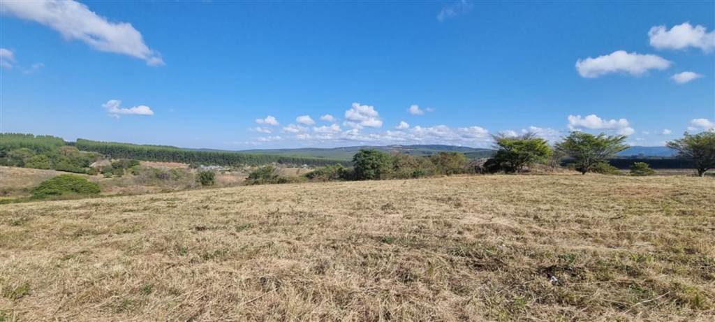 1 ha Land available in White River photo number 18