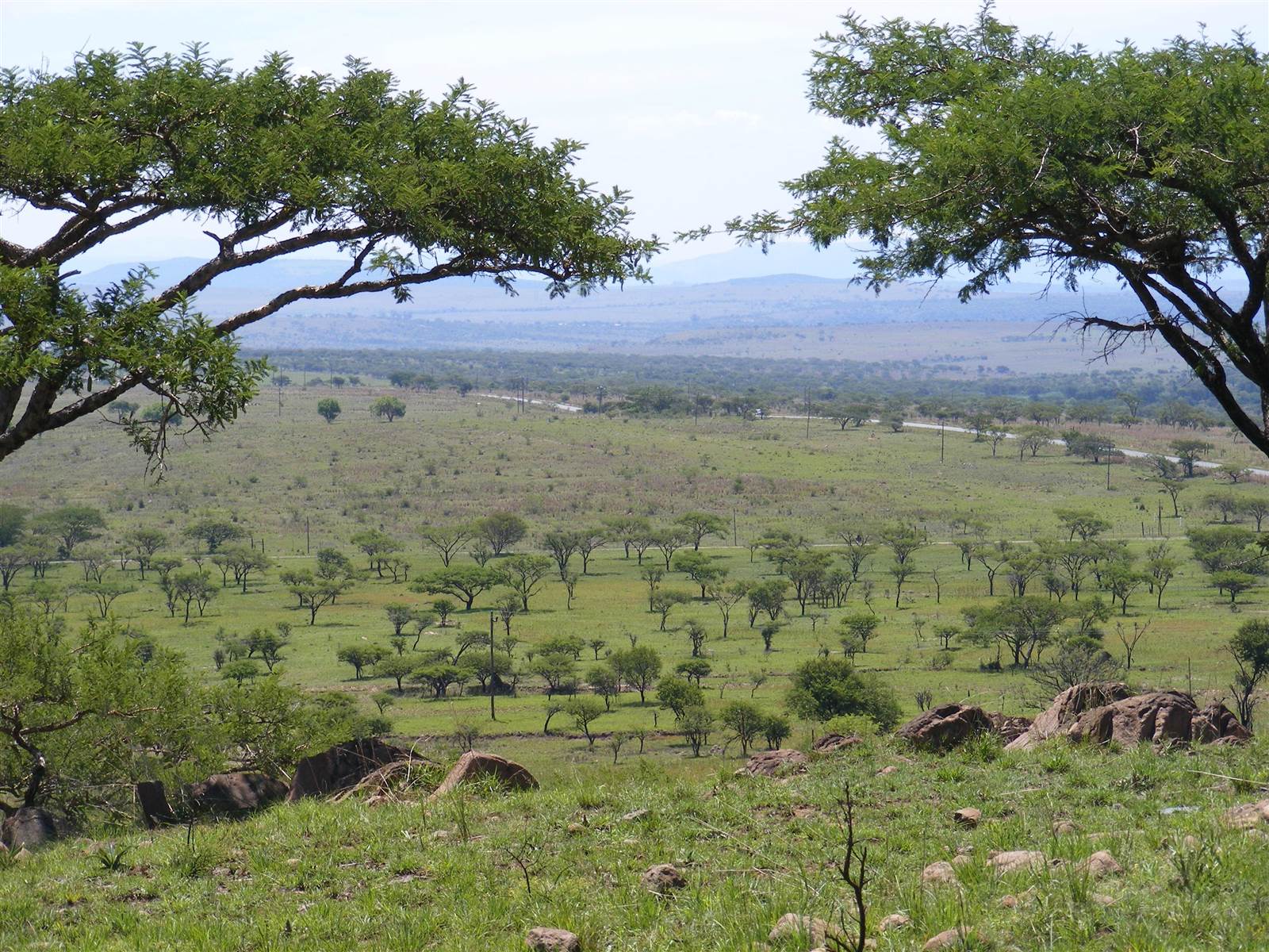 441 ha Farm in Estcourt photo number 5