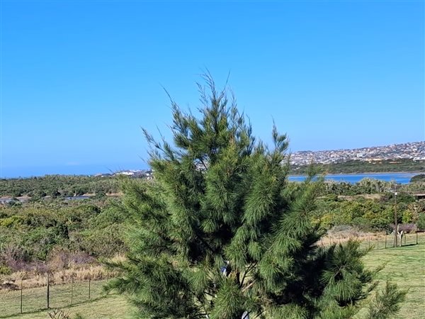 2.8 ha Farm
