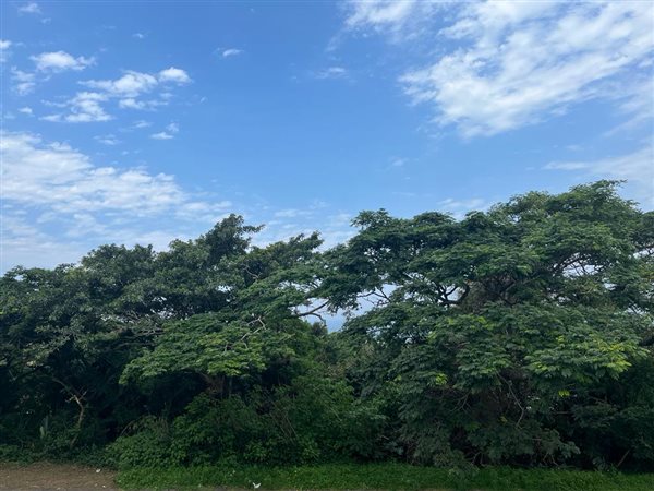1149 m² Land available in Freeland Park