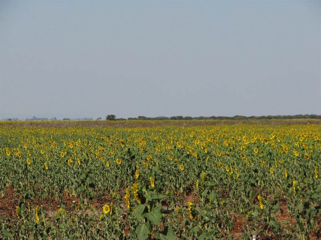 480 ha Farm in Roedtan photo number 18