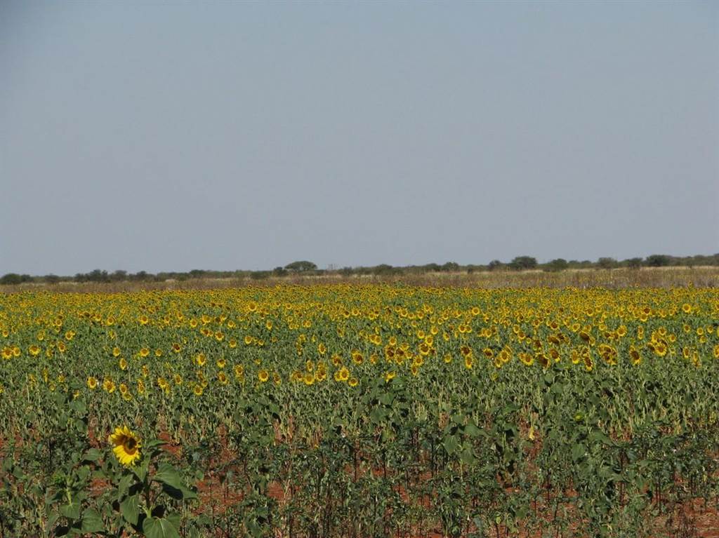 480 ha Farm in Roedtan photo number 19