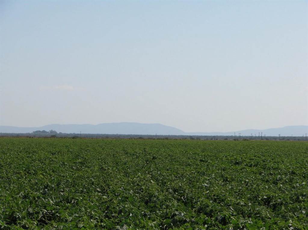 480 ha Farm in Roedtan photo number 12
