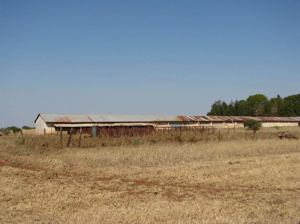 480 ha Farm in Roedtan photo number 23