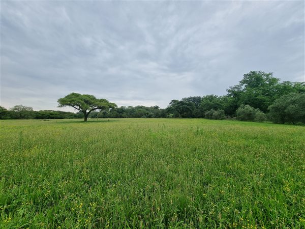 1.8 ha Land available in White River AH