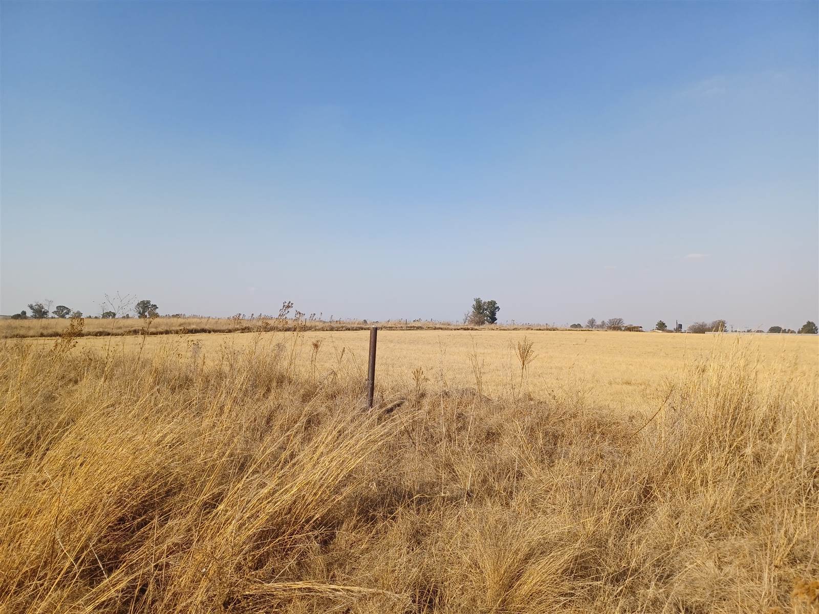 8.9 ha Land available in Delmas photo number 7