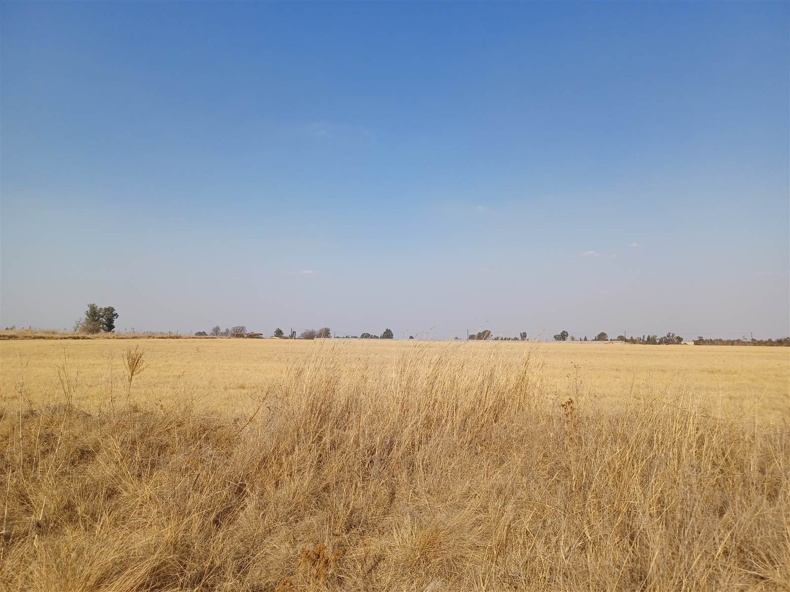 8.9 ha Land available in Delmas photo number 6