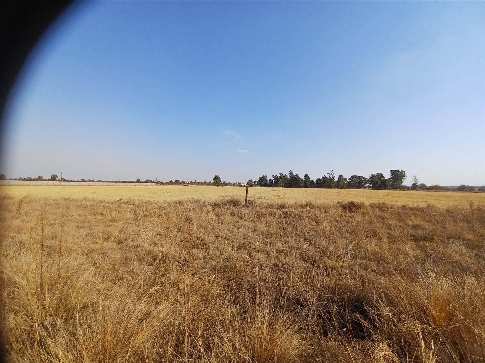 8.9 ha Land available in Delmas photo number 9