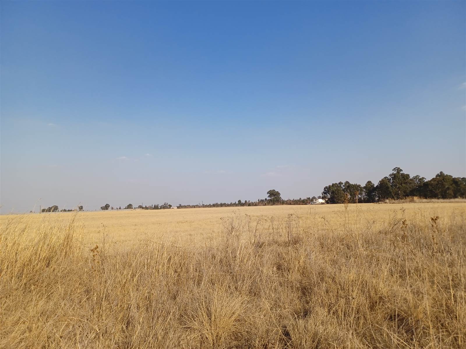 8.9 ha Land available in Delmas photo number 5