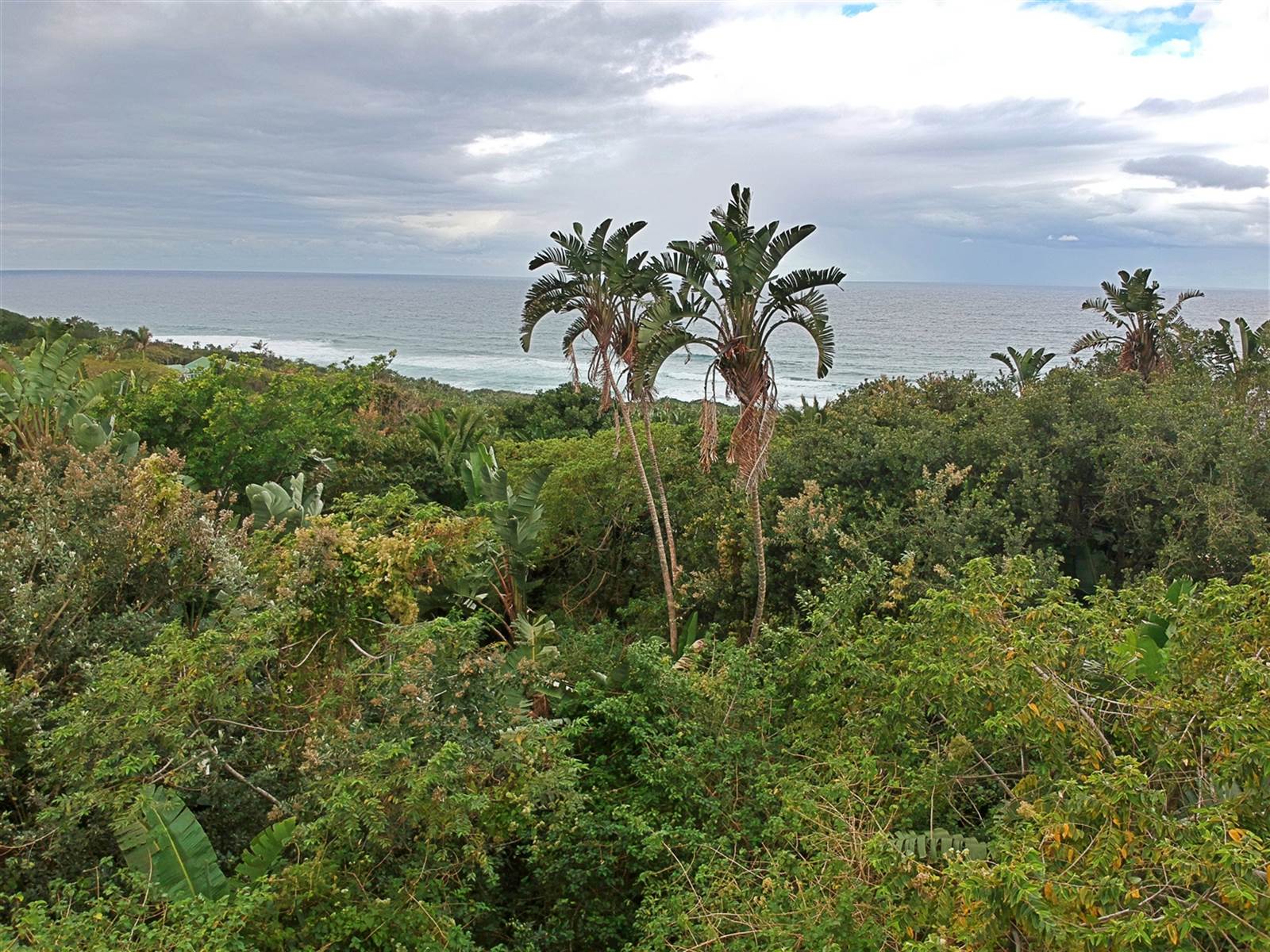3593 m² Land available in Bazley Beach photo number 3