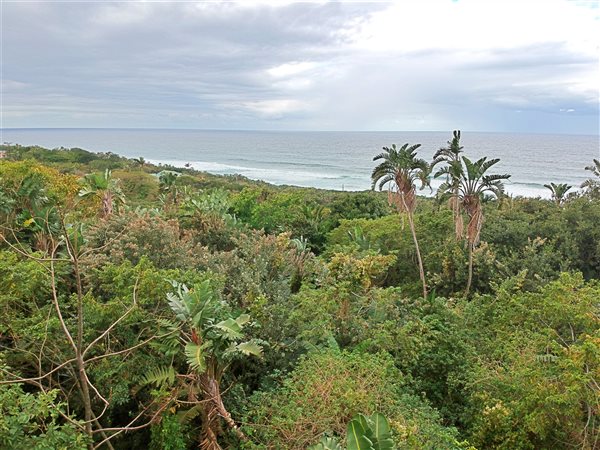 3593 m² Land available in Bazley Beach