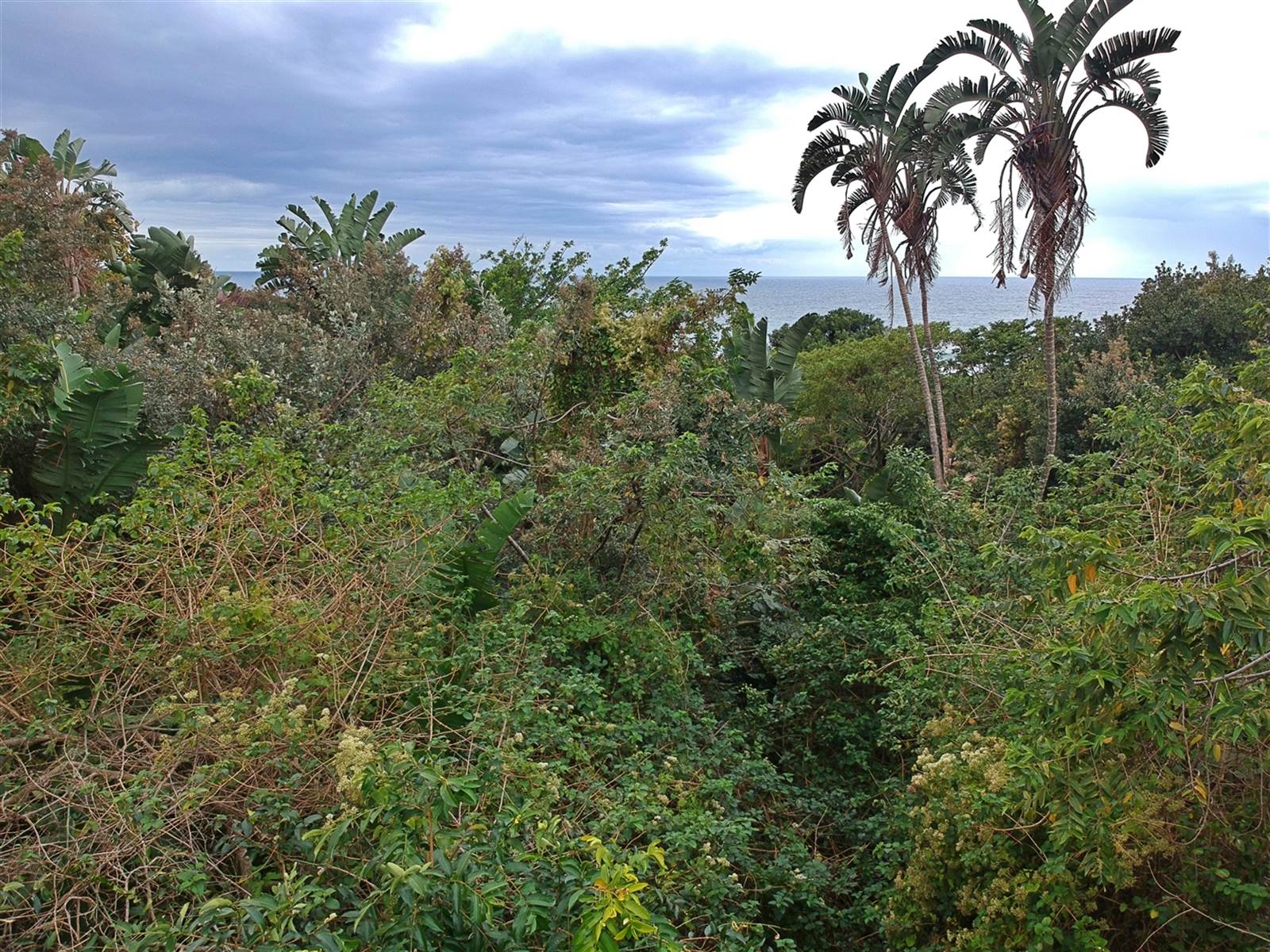 3593 m² Land available in Bazley Beach photo number 2