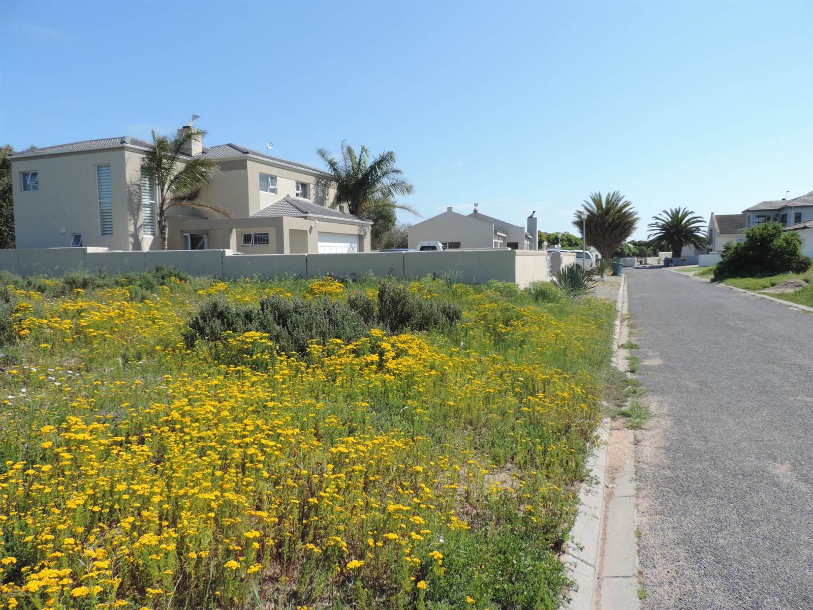 600 m² Land available in Country Club photo number 2