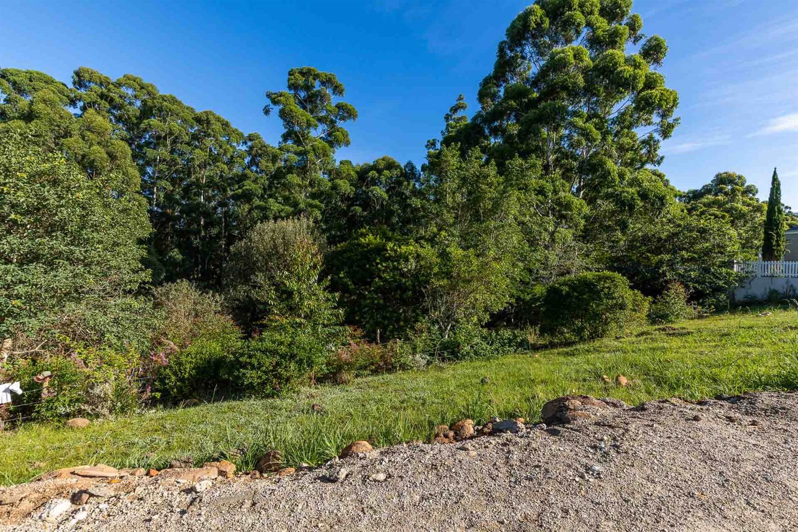 462 m² Land available in Heather Park photo number 10