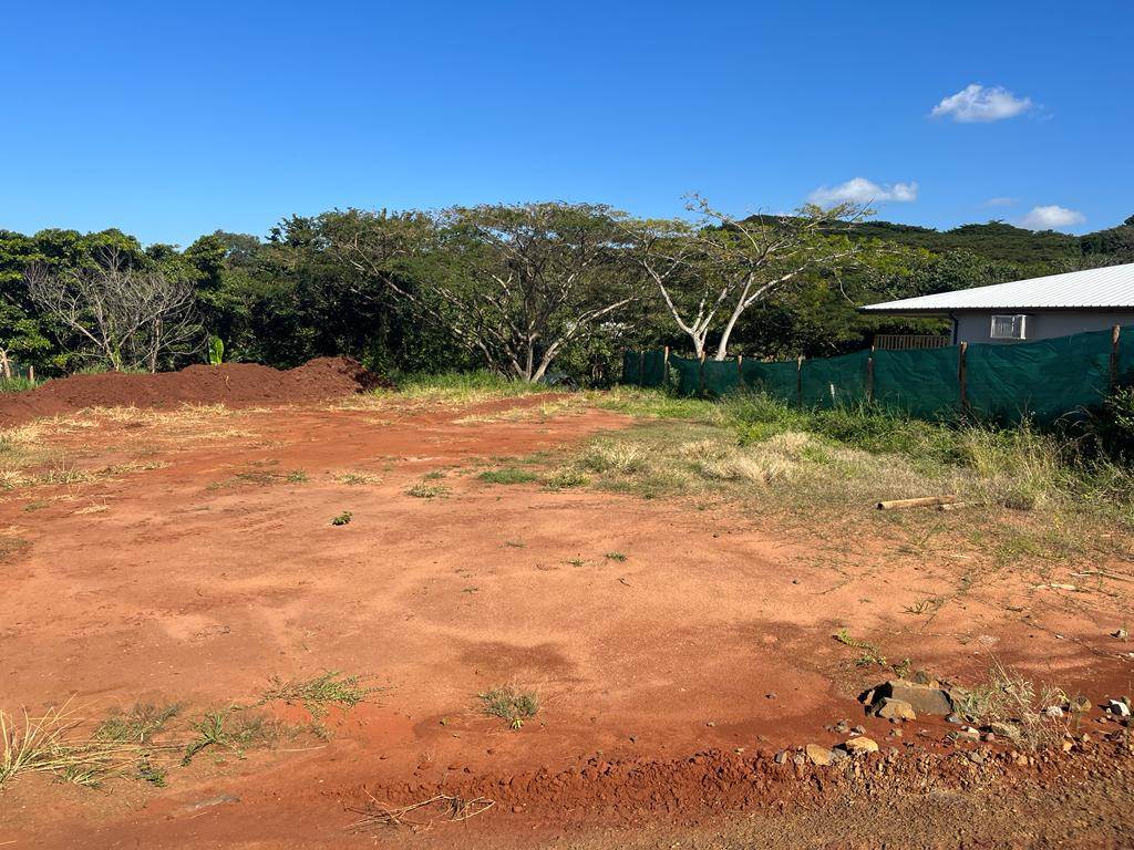 1254 m² Land available in Mtunzini photo number 4