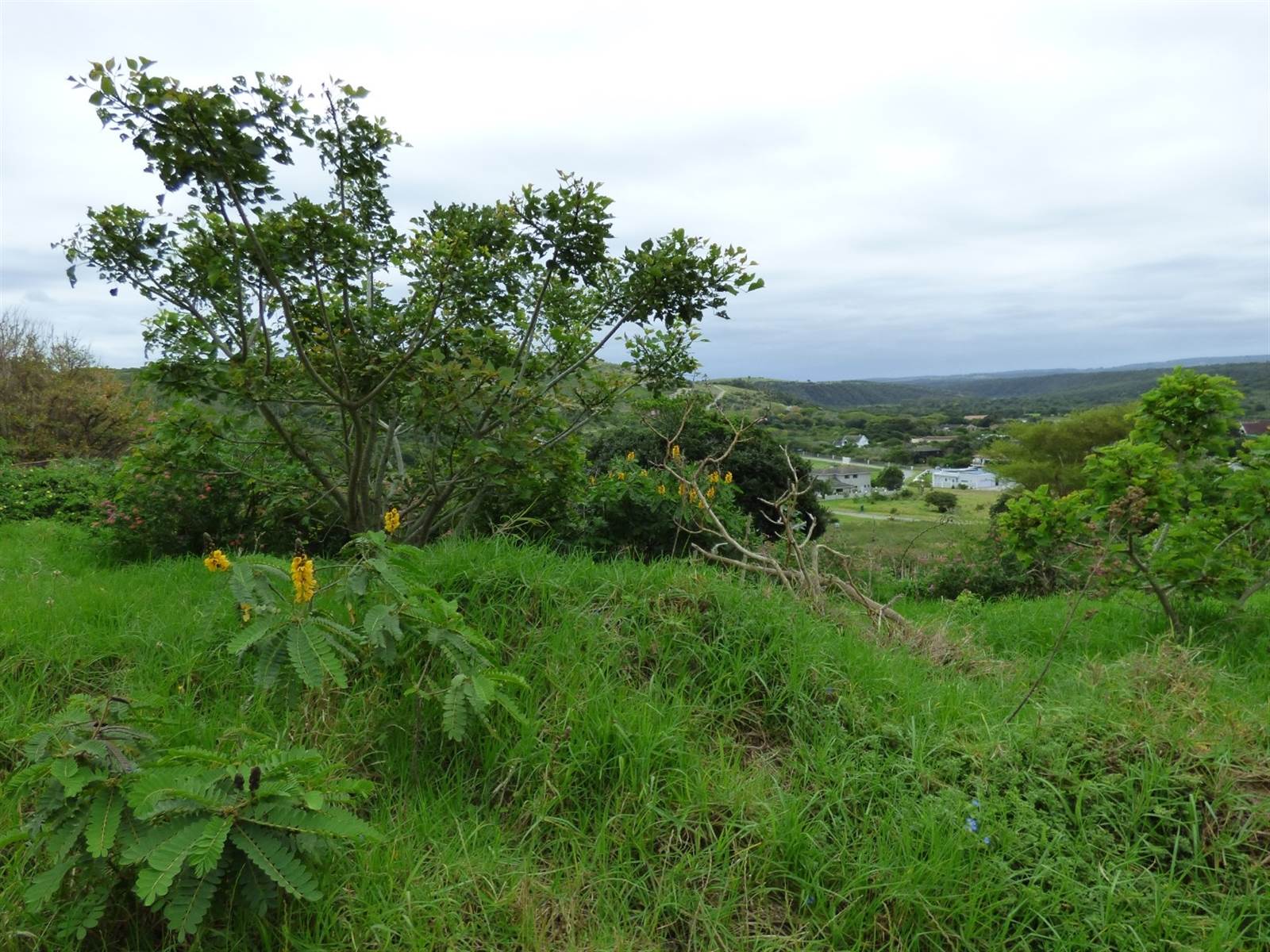 1106 m² Land available in Port Alfred photo number 3