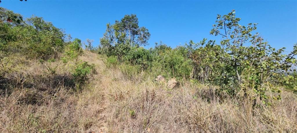 4 ha Land available in White River photo number 24