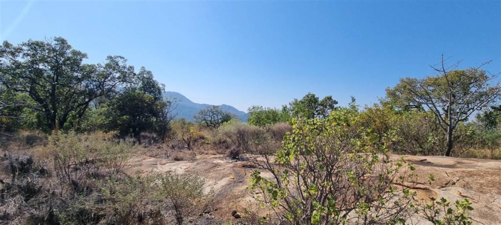 4 ha Land available in White River photo number 14