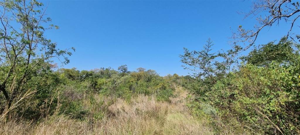 4 ha Land available in White River photo number 30