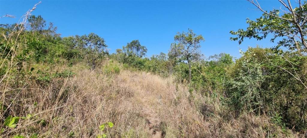 4 ha Land available in White River photo number 27