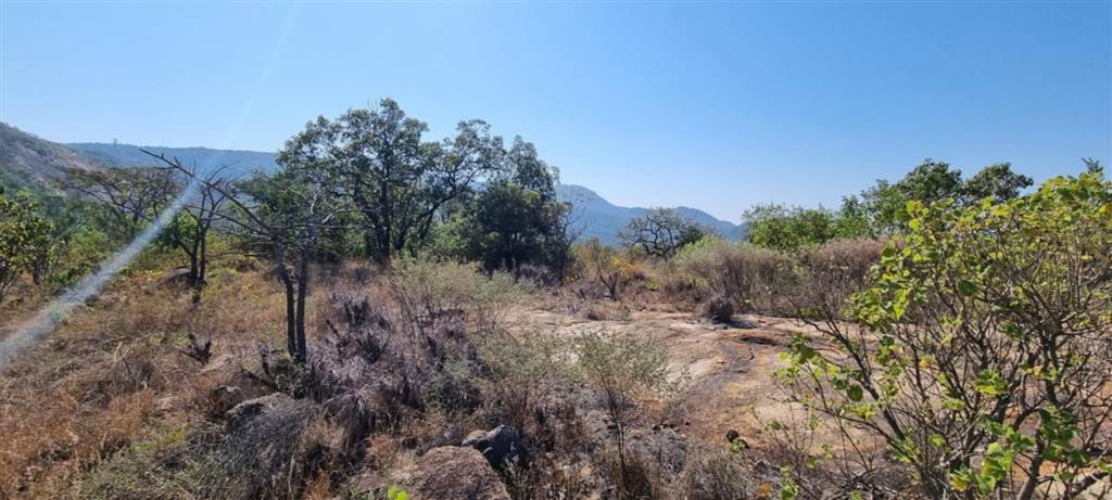 4 ha Land available in White River photo number 13