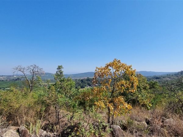 4 ha Land available in White River