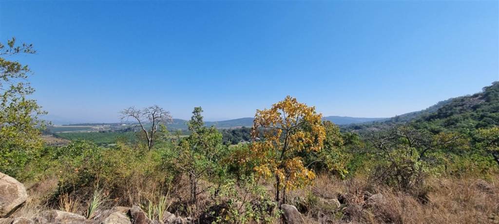 4 ha Land available in White River photo number 4