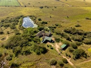 22.3 ha Farm in Greytown